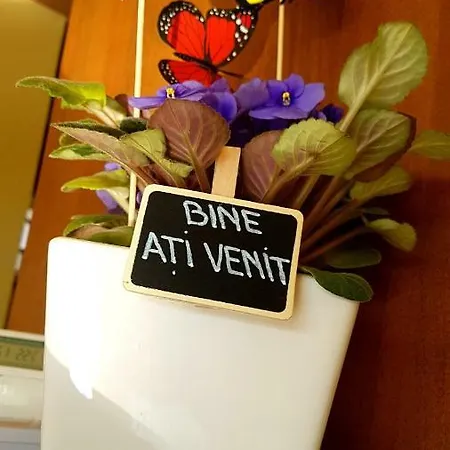 Vila Arra *
